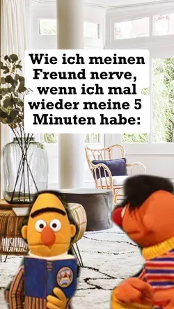 Ernie singt Meme