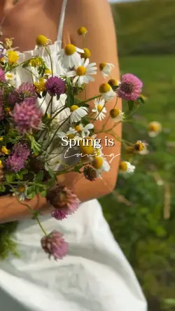 Spring is coming