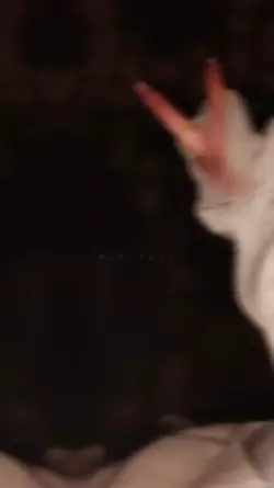 本家のビートをジャック⋆͛‪‪⋆͛