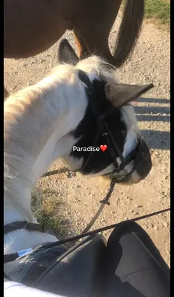Paradise❤️