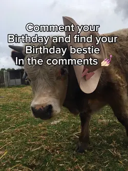 Comment urs 