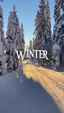 Winter vibes