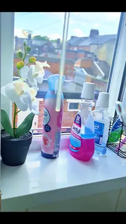 BATHROOM RESET