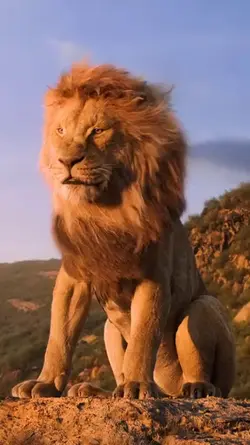 aslan