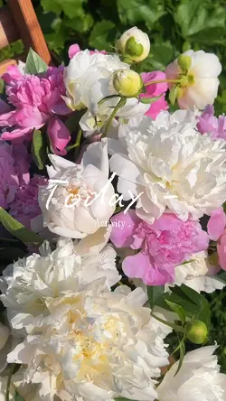 ❀weekend✿