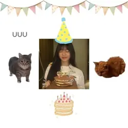 hbd u i a i