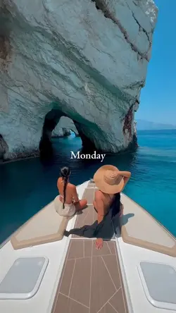 Vlog