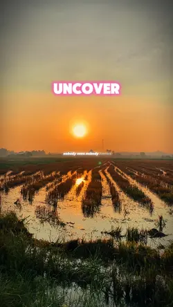 Uncover