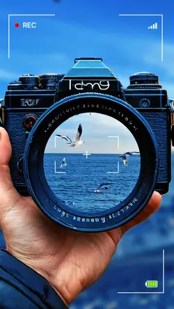 Capture 