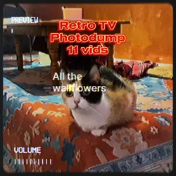Retro Tv