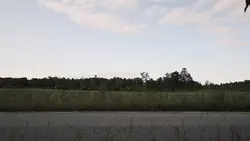 free car edit