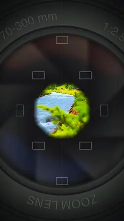 5 clip or photo 