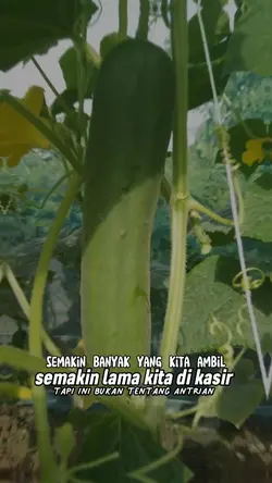 cinematic dulu