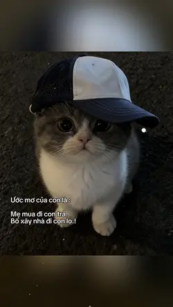 Captions & màu 
