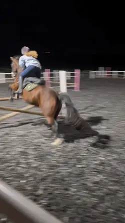 Jumping! Horse 