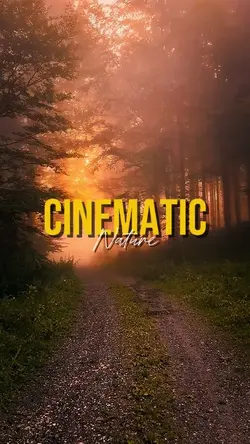 CINEMATIC NATURE