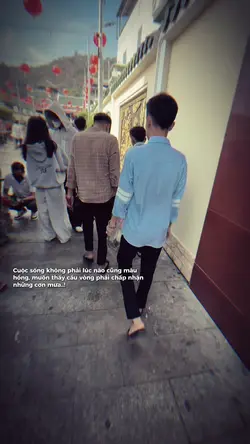 Sầu hồng gai