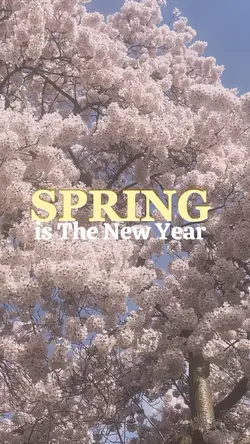 Alive in spring 