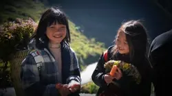 Slow mượt + màu