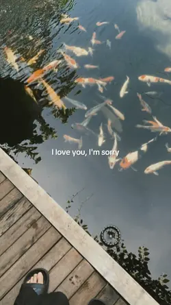 i love you i'm sorry