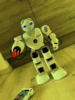 Edit robot