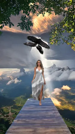 Eagle  nature 
