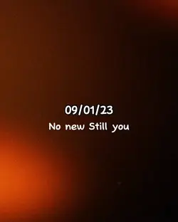 No New Still you 