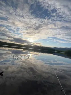 🎣 