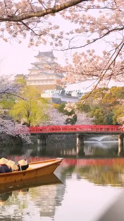 holiday to japan