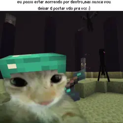 nunca vou