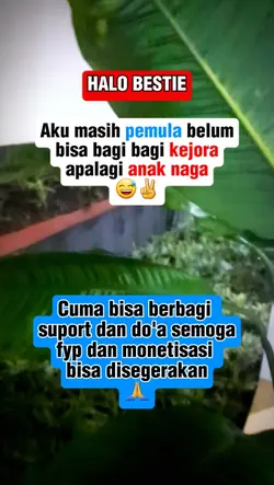 konten pemula