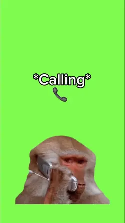 *Calling* 📞