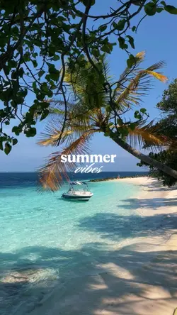 summer vibes 7 clips