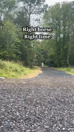 Right horse
