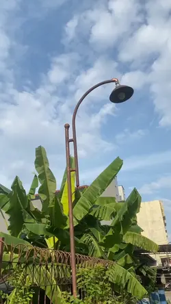 Cinematic viral