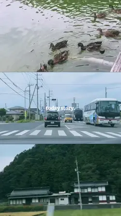 3 videos 1 frame