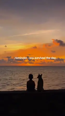Motivation Quotes 🏆
