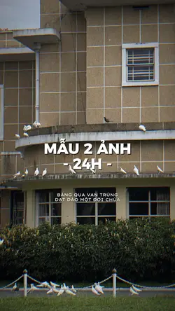 24H 