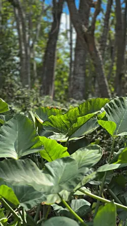Astaga Bercanda
