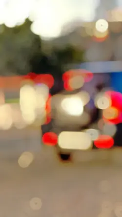 Rajasthani Edit 