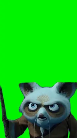 King Fu Panda Meme