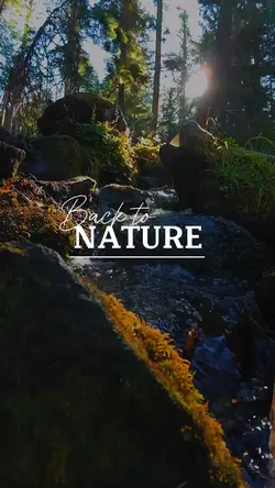 Back to Nature