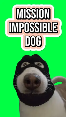 MISSION IMPOSSIBLE