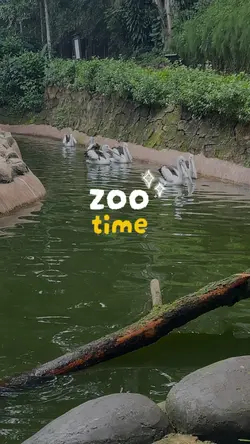 Zoo time