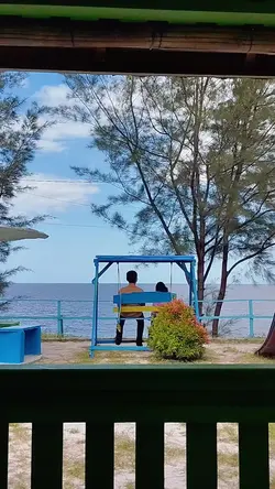 Mini Vlog
