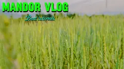 Vlog tutorial 