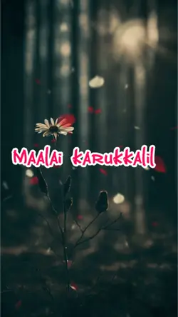 Maalai karukkalil 