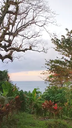 Vlog liburan