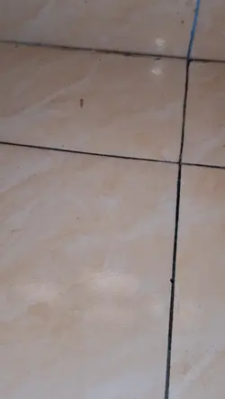 Menu sederhana 