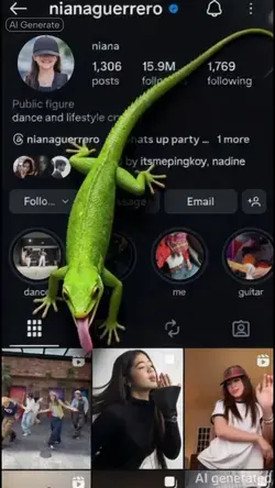 Instagram profile 